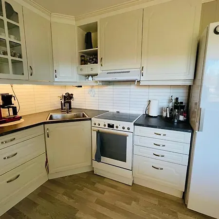 Stor Enebolig Sentralt Pa Villa Senja