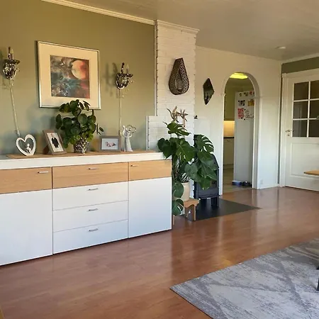 Stor Enebolig Sentralt Pa *